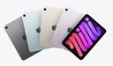 iPad Mini (2024)